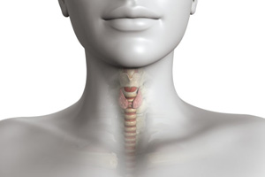 Best Dental Hospitals in Guntur,Best Dental Hospital in Guntur,Best Dental Doctor in Guntur,Best Dental Doctors in Guntur,Best Dental Clinic in Guntur,Best Dental Clinics in Guntur,Famous Dental Hospitla in guntur,Famous dental hospitals in guntur,Best Dental clinic near me,Best Evening Hospitals in Guntur,Best Orthodontist in guntur,Braces Treatment in Guntur,Best Dentist in Guntur,Best Dentists in Guntur,Best Habit breaking appliance treatment in Guntur,Hygienic dental Hospital in Guntur,Hygienic dental Hospitals in Guntur,Top Dentist in guntur,Top Dentistits in guntur,Top Dental Clinics in Guntur,Top Oarl Dental Clinics in Guntur,Top Dental Clinic in Guntur,Best Dental Implants in guntur,Top Dental Doctors in guntur,Top Dental Doctors in Guntur,Oral treatments and dental health services in Guntur,Oral treatments and dental health services in Guntur,Dental Braces in Guntur,Complete Dental Oral care in guntur,Best dental treatment in guntur,Best Fever Hospital in Guntur,Best Hypertensive Clinics in Guntur,Best thyroid doctors in guntur,Best Cardiologist in guntur,Best Evening clinics in Guntur